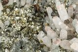 Hematite Quartz, Chalcopyrite and Pyrite Association - China #205519-2